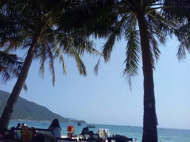 越南旅行之岘港攻略,越南岘港巴拿山风景