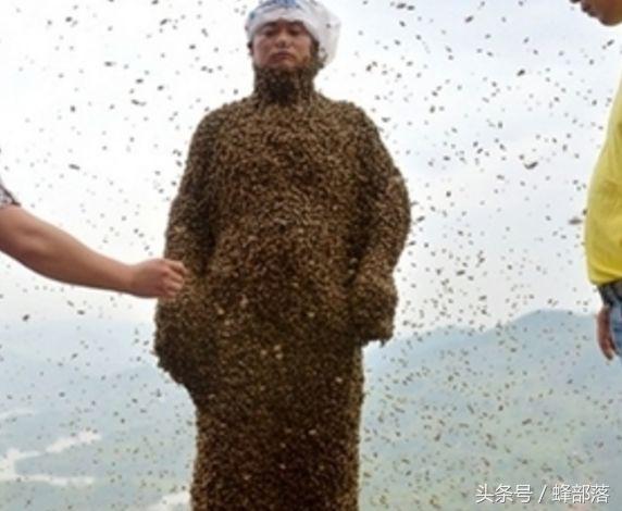 为什么蜇人的都是工蜂,工蜂蜇人后多久工蜂会死