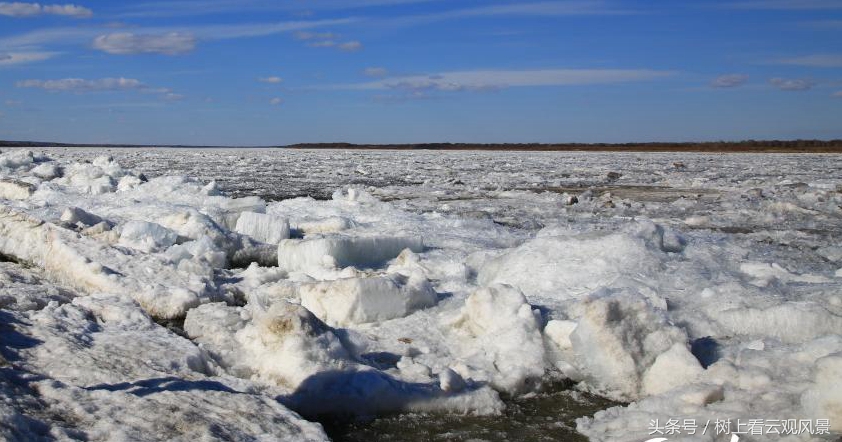 黑龙江秃尾巴老李老家,秃尾巴老李在黑龙江吗