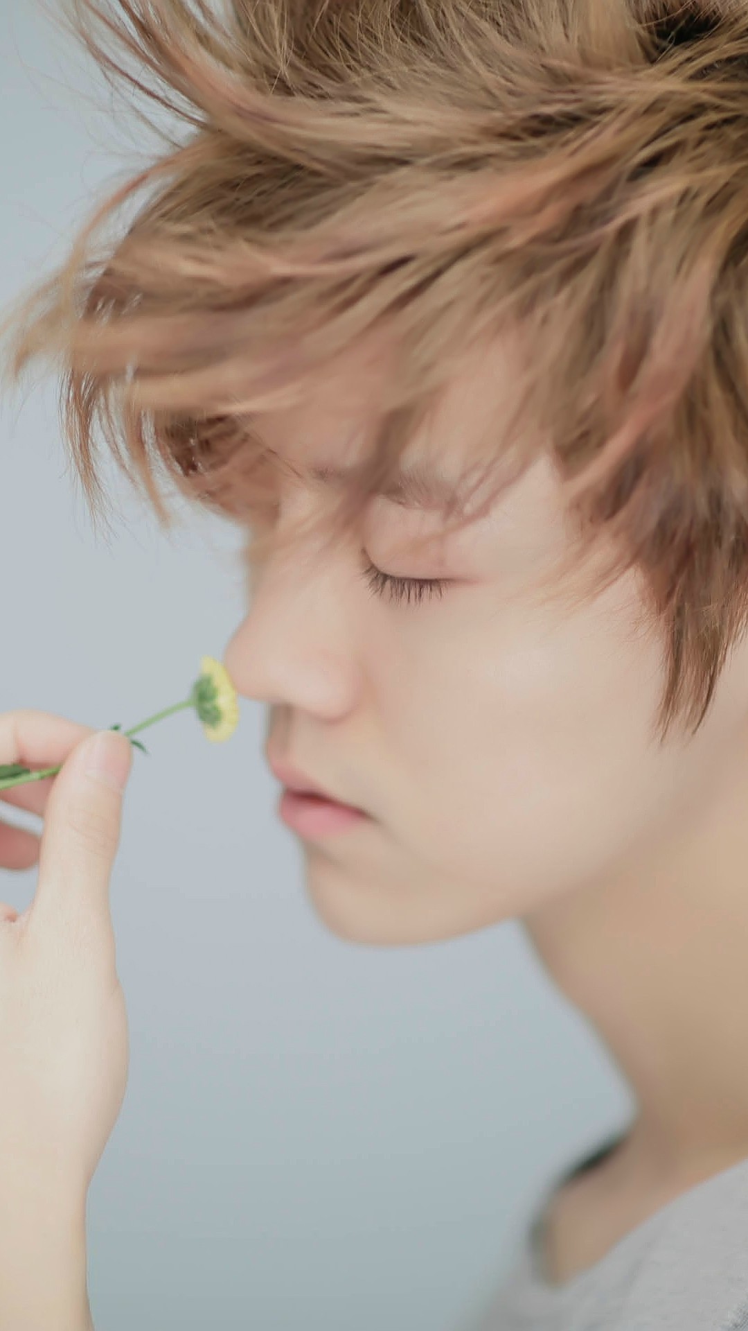 鹿晗精致短发男,鹿晗精致五官