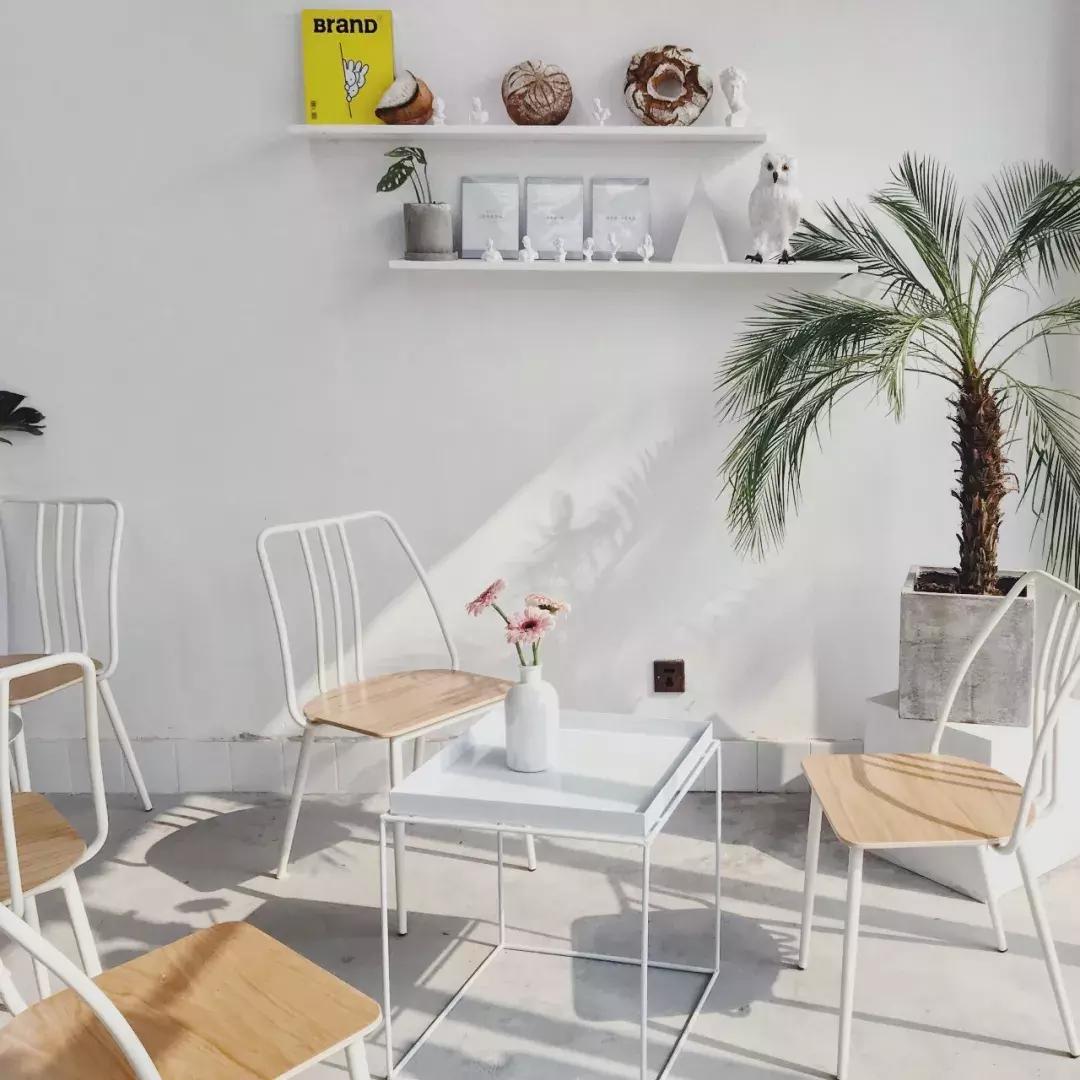 沿江大道惊现梦幻白房子,来的人都想和老板做朋友!