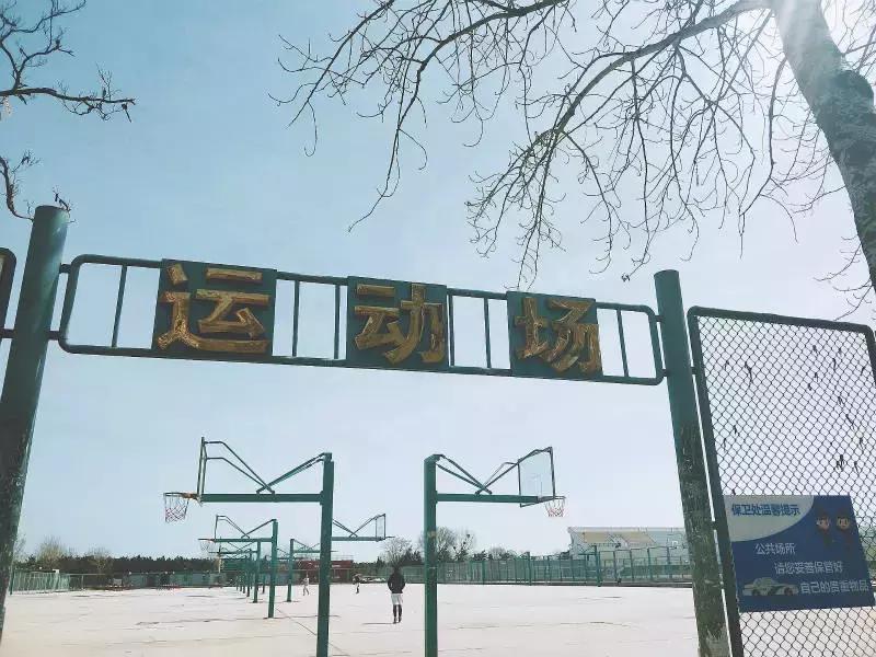 陪你走过沿途的风景,陪你走过每段路