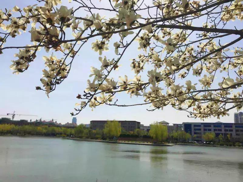 陪你走过沿途的风景,陪你走过每段路