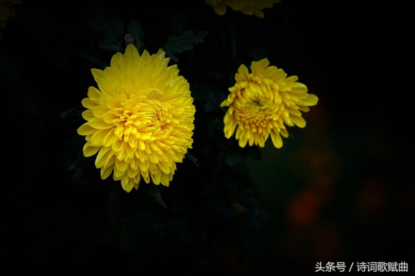 十首简短的爱国诗词,十句表达爱国情怀的诗句