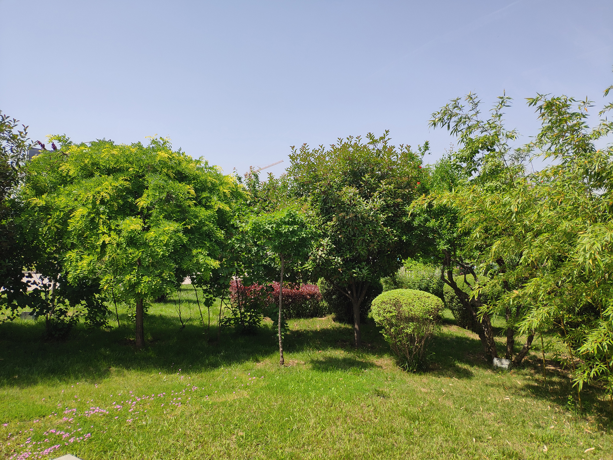 小米米兔无人机能飞多远,小米无人机米兔速度测试