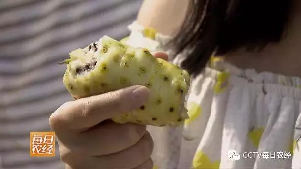 为什么热带的水果又甜又好吃,又酸又苦的热带水果