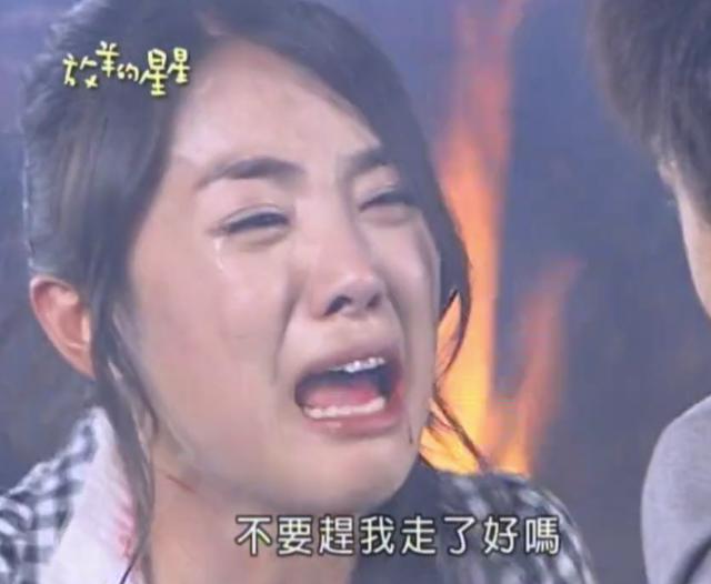 日版道明寺集数,台版日版道明寺