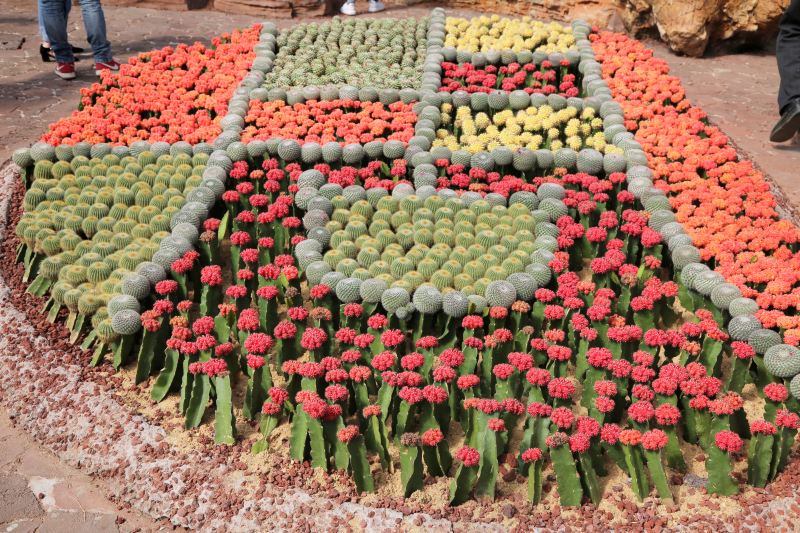 南通旅游攻略必去景点排名,南通紫琅湖公园五一有没有灯光秀