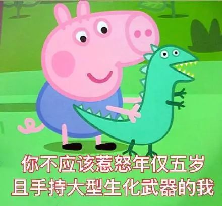 小猪佩奇是怎么火的,社会人佩奇来历