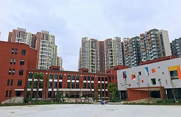 成华区2019年公立幼儿园,成华区教育学校