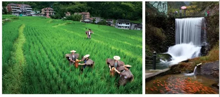 丽水青田五日游攻略,青田5.19旅游日