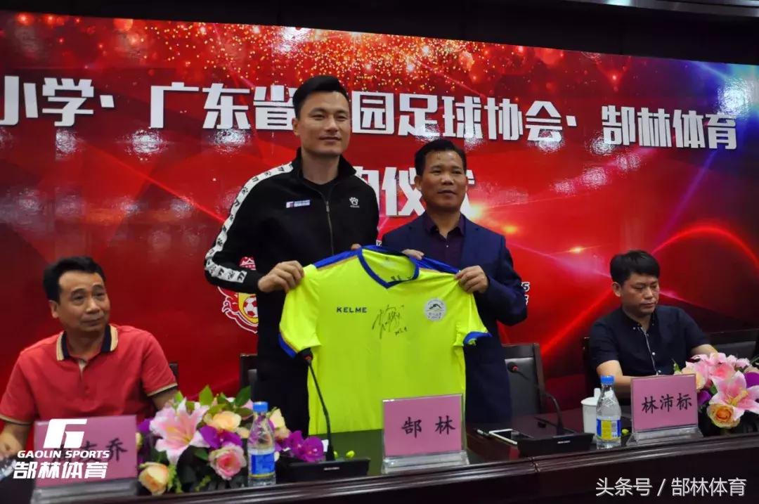 郜林致敬克林斯曼,郜林感恩十年