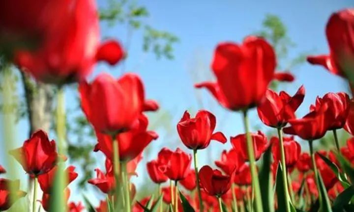 五一出游小短文,五一放假能在疆内游玩吗