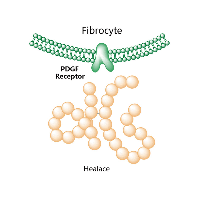 血小板衍化生长因子,血小板激活因子受体抑制剂是什么