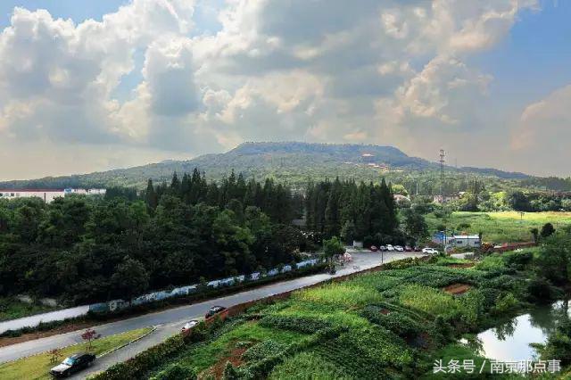 适合南京一日游的三十项免费景点,南京值得打卡的小众景点