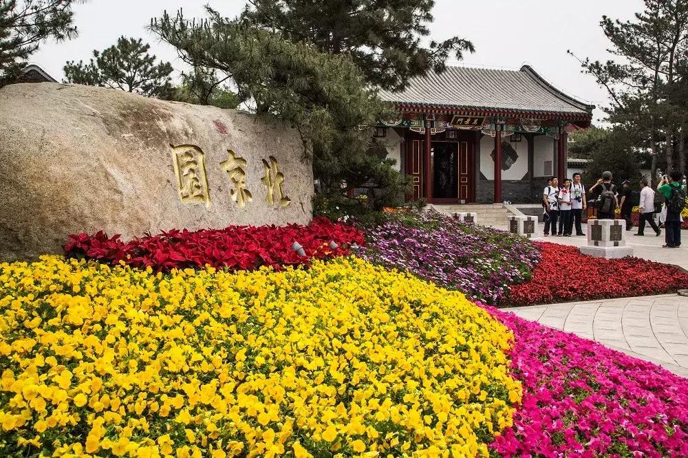 花车花田，美景美食，五一不用远走，丰台这些地方承包你的假期时光！