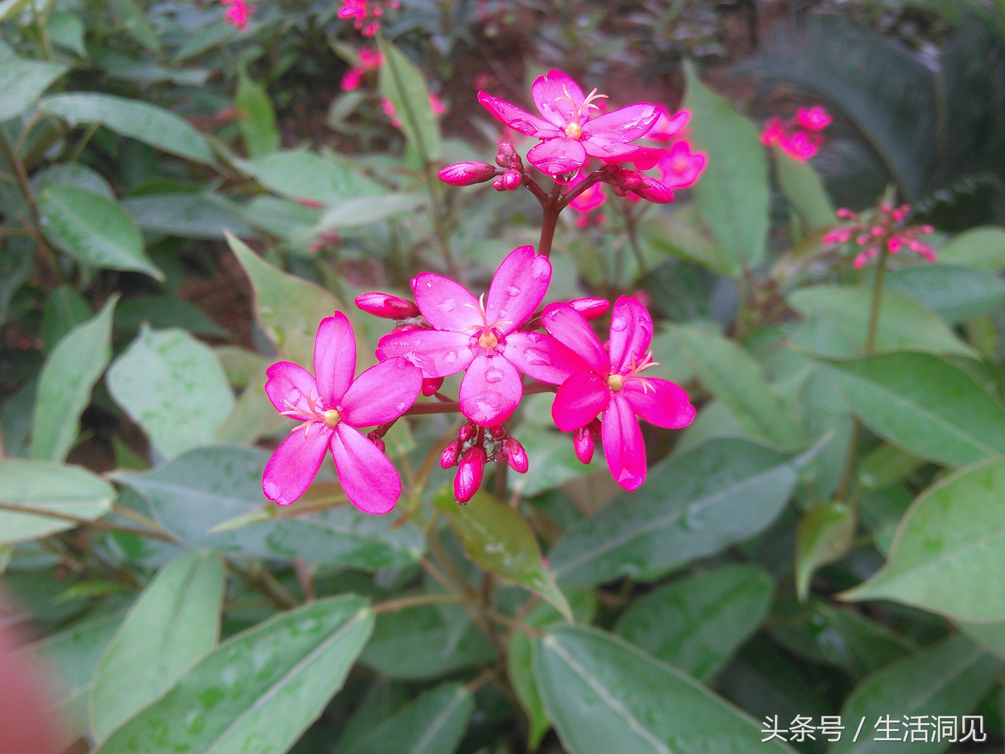 当对生活焦虑压抑了怎么办,当生活感到压抑