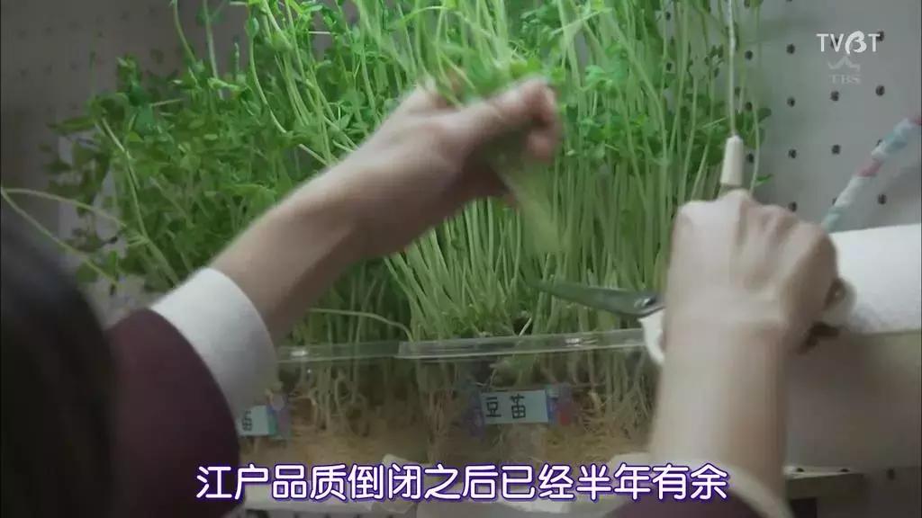 剧情老套夸张但没有违和感 (剧情很老套但是很好看)