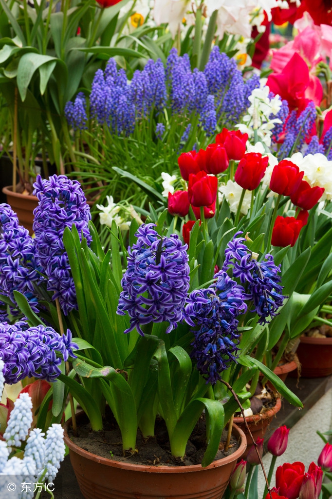 生活语录相册,生活感悟相册