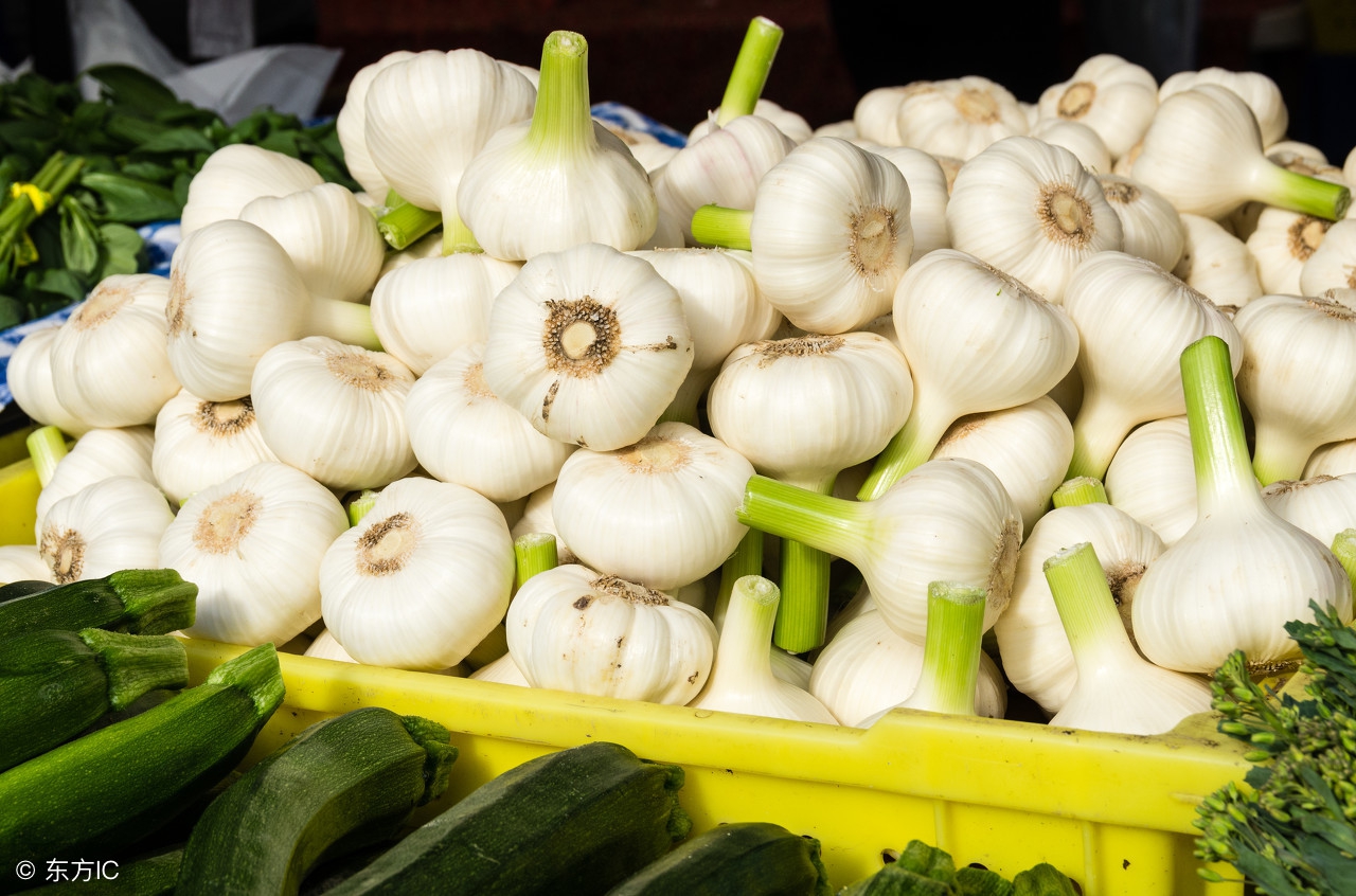 大蒜价格今年的大蒜多少钱一斤,大蒜价格最新行情今日蒜价表