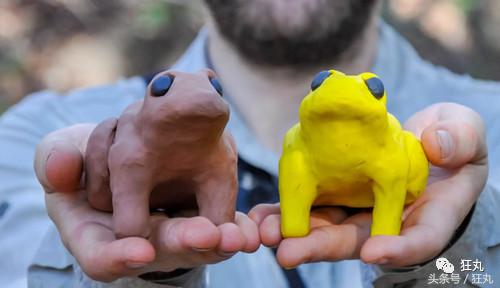 3D打印技术助力先进制造,3d打印帮助动物