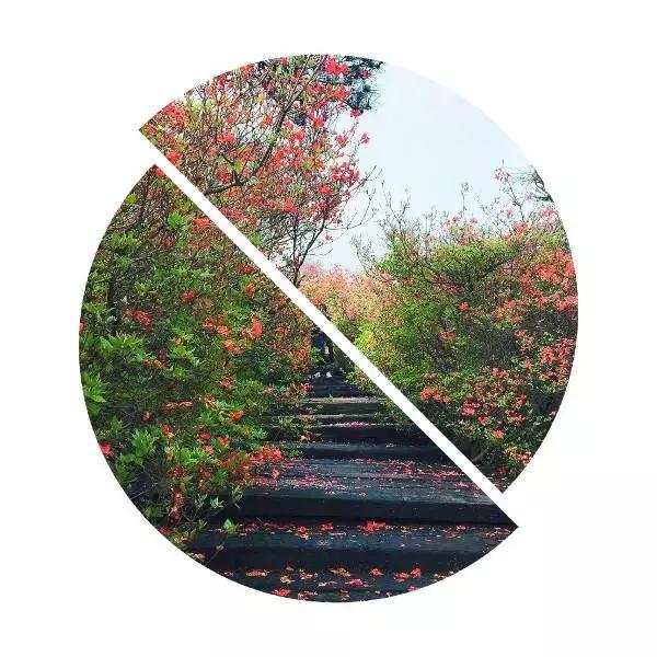 麻城龟峰山美景,麻城龟峰山风景区美照