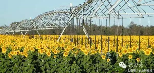 又酷又强大的农业机器你见过几种,盘点国内外先进的大型农业机械