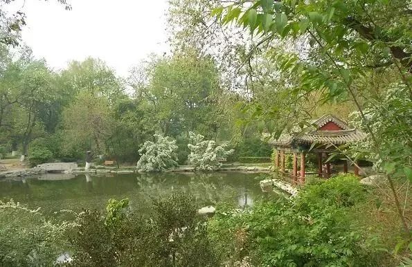 北大生日快乐 (北大生日会)