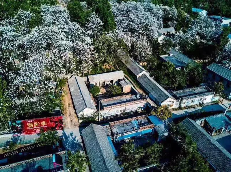 河南各市五一旅游收入排名 (近五年河南省五一旅游人次统计)