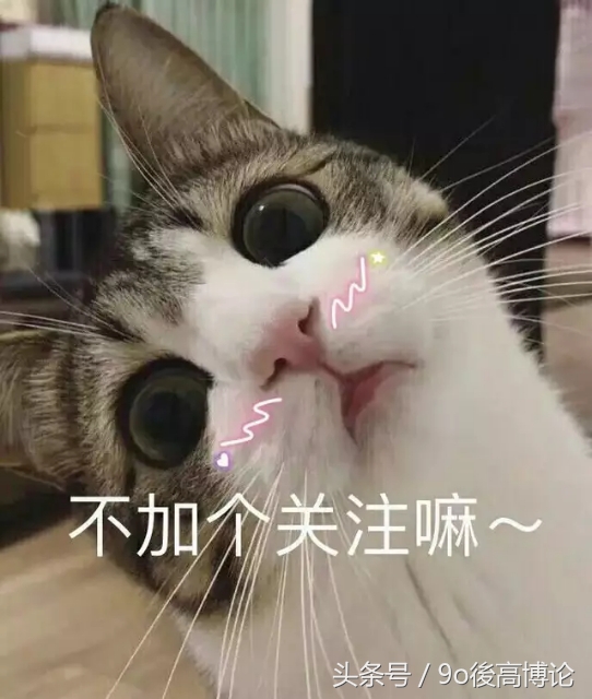 吴克群的寂寞和胡闹,寂寞来了怎么办吴克群