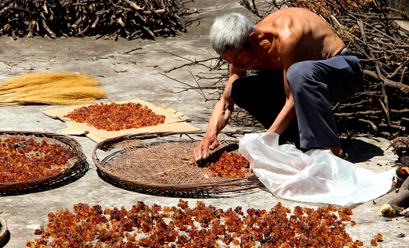 桃胶甜品做法视频教程,美食主播做甜品过程