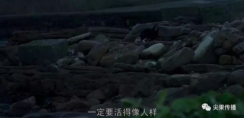 成龙女儿露宿加拿大街头，到底是谁的错？