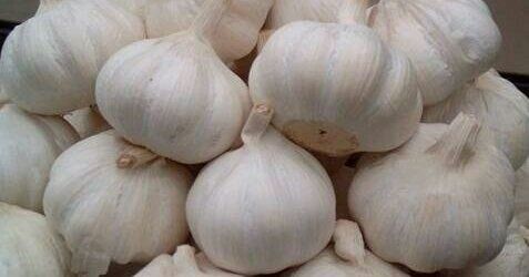 它不但可以食用还可以入药,对降血糖有益的食材