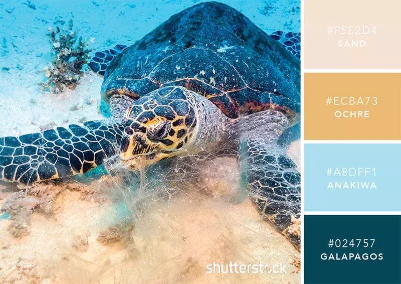 你知道彩虹是什么颜色吗,你知道彩虹的颜色吗英语翻译