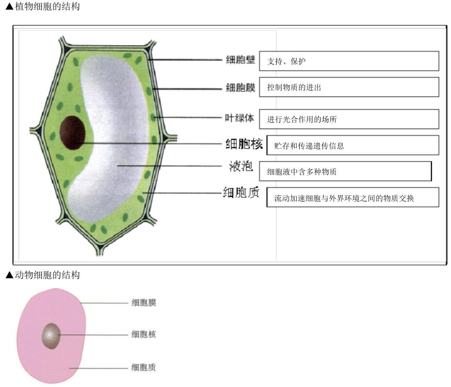 2018中考生物知识点总结（图文并茂），喜欢的朋友记得收藏或转发