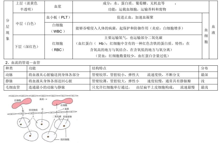 北师大版生物中考必背知识点,苏教版生物中考知识点总结填空版