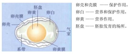 2018中考生物知识点总结（图文并茂），喜欢的朋友记得收藏或转发