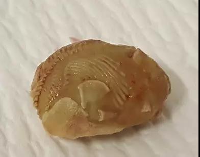 鐭宠儙妗堜緥璁板綍,鐭宠儙姘戦棿鏁呬簨