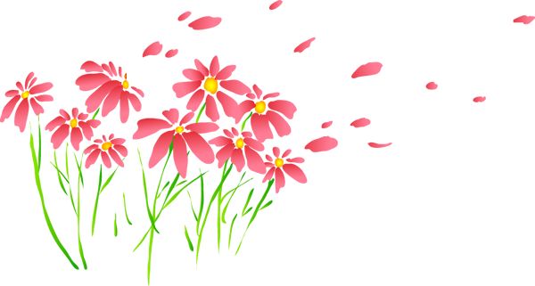 村民养的鱼离奇死亡,村子里的鱼全死了