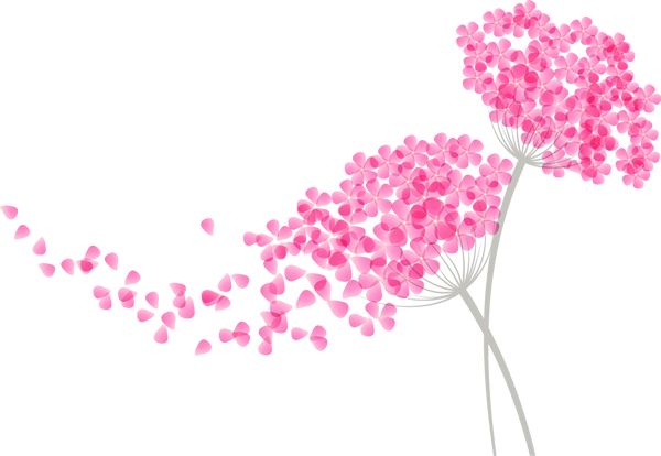 跟着书记县长去观摩，看沭阳七月“美景”红似火！