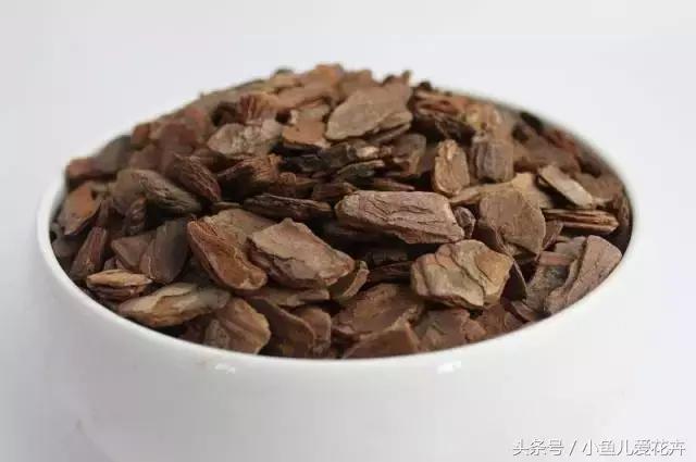 新手养肉肉最好用什么土,新手养肉配土