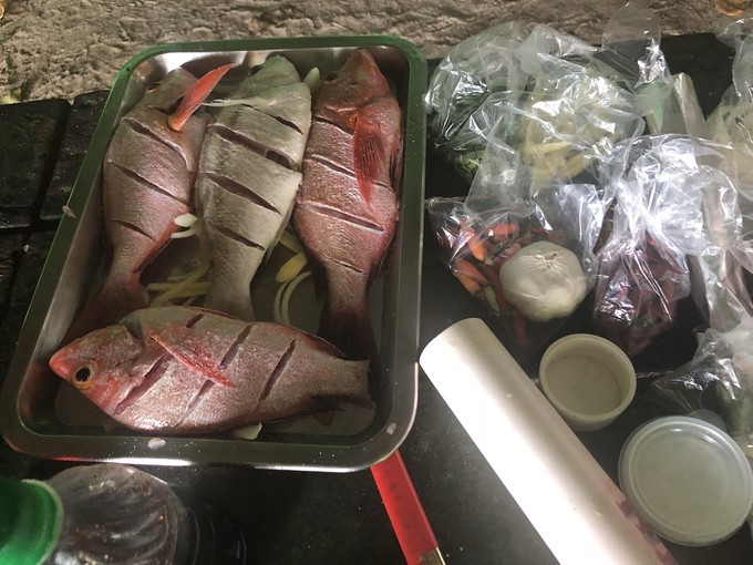 帕劳的海景风光给人美的享受,帕劳的海洋和沙滩风景图片