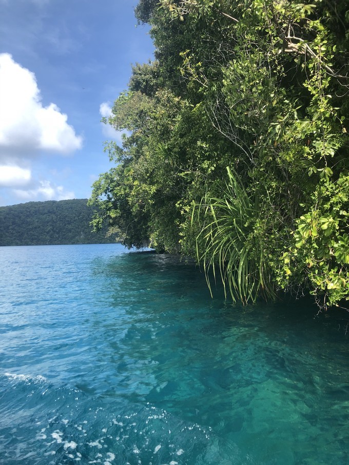 帕劳的海景风光给人美的享受,帕劳的海洋和沙滩风景图片