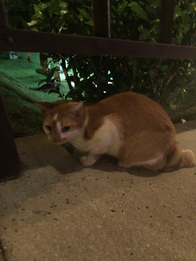帕劳的海景风光给人美的享受,帕劳的海洋和沙滩风景图片