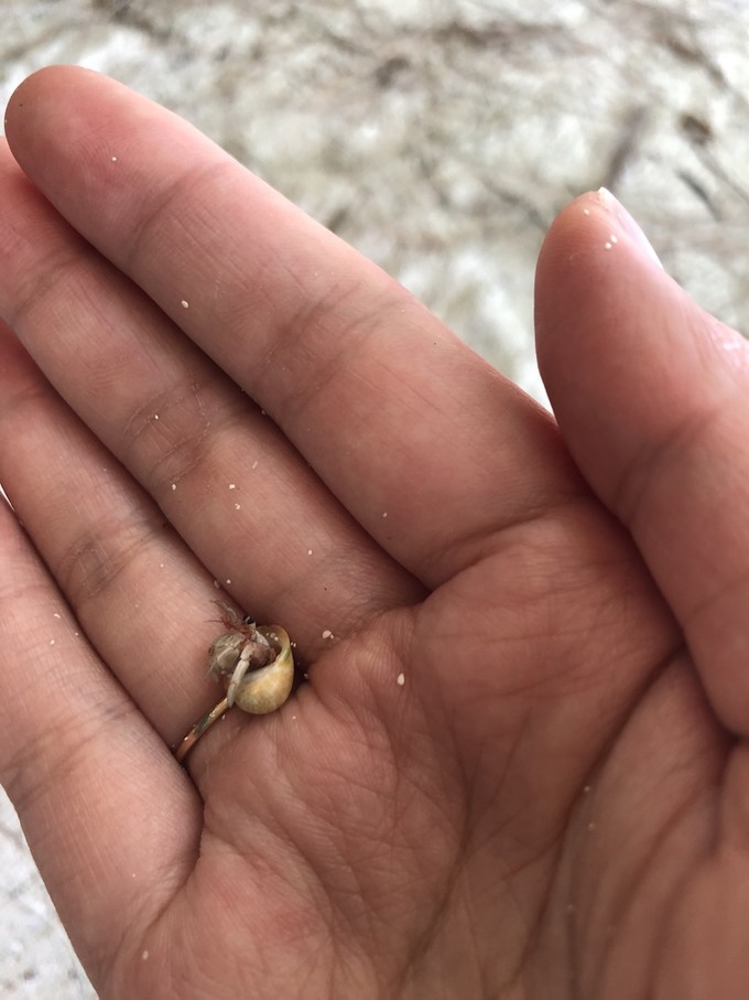 帕劳的海景风光给人美的享受,帕劳的海洋和沙滩风景图片