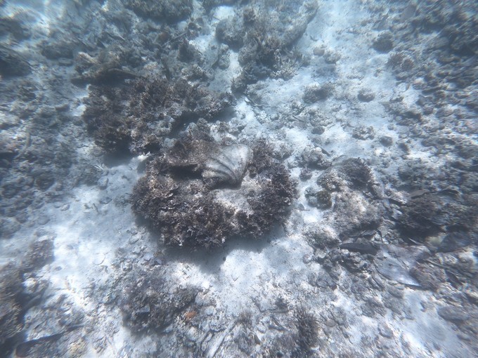 帕劳的海景风光给人美的享受,帕劳的海洋和沙滩风景图片