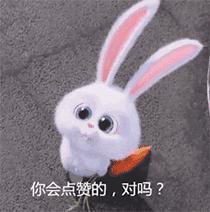 身怀绝技！兴业这个村的7名村民参加国际武术比赛斩获4金5银2铜