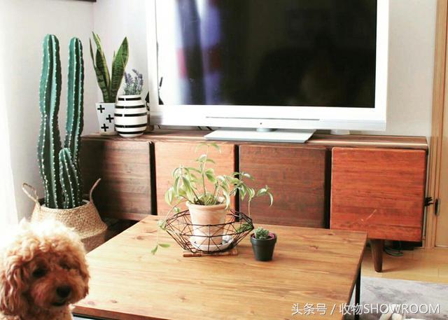 「收物第70期」客厅太乱，原来都是茶几惹的祸！