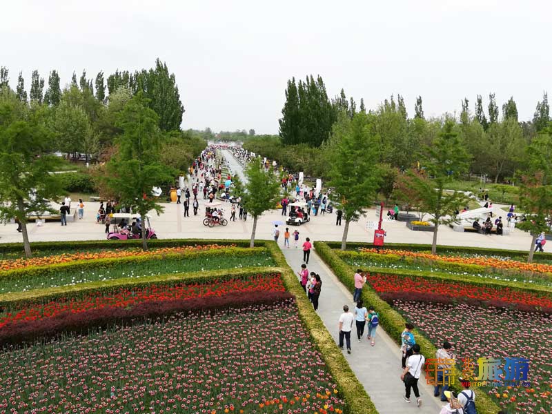 北京国际鲜花港游玩指南来啦！郁金香争奇斗艳，音乐喷泉令人震撼，云雾仙境如梦似幻！