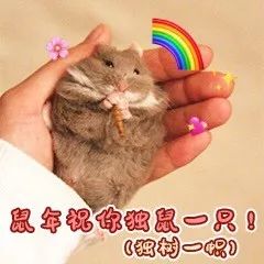 为啥鼠能排12生肖老大？先把这份拜年祝福语读懂再说